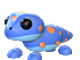 Gecko