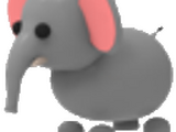Elefante