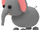 Elefante