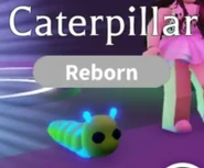Caterpillar | Adopt Me! Wiki | Fandom