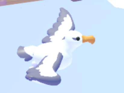 https://static.wikia.nocookie.net/adoptme/images/1/18/Albatross_in-game.jpg/revision/latest?cb=20220512200400