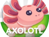 Ajolote
