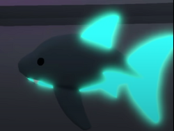 NEON SHARK