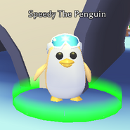 Speedy The Penguin AM
