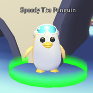 The Golden Penguin NPC, Speedy The Penguin.