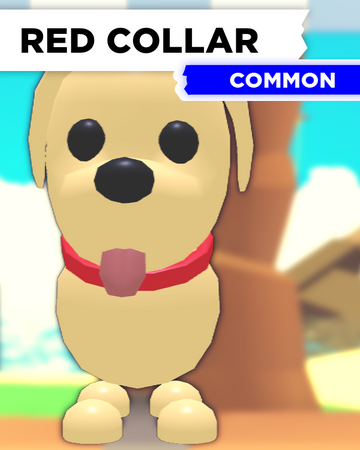 Red Collar Adopt Me Wiki Fandom - roblox adopt me wiki pets
