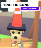 The Traffic Cone on a Dog.