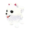 Samoyed