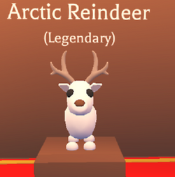 Arctic Reindeer Adopt Me Wiki Fandom - roblox adopt me christmas reindeer stable