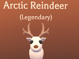 Arctic Reindeer