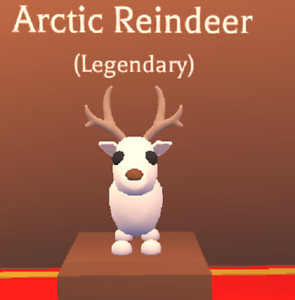 WHAT PEOPLE TRADE FOR ARCTIC REINDEER IN ADOPT ME ❄️ Trading Arctic  Reindeer in Adopt Me!