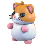 Hamster