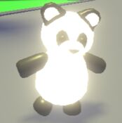 Neon Panda