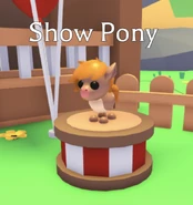 The Show Pony on display.