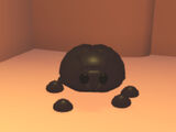 Giant Black Scarab