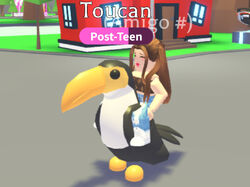 Toucan Adopt Me Wiki Fandom