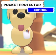 The Pocket Protector as seen on a Dog.