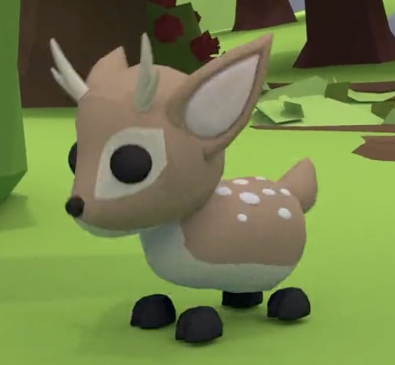 Fallow deer as pets