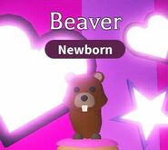 Beaver in-game