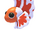 Orange Betta Fish