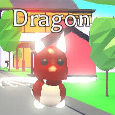 Dragon Adopt Me Wiki Fandom - roblox adopt me account legendary neon dragon rideable flyable