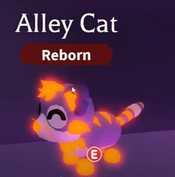 The order of age for neon pets in adopt me roblox 