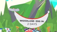 Woodland egg countdown