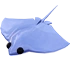 Images-StingRay.png