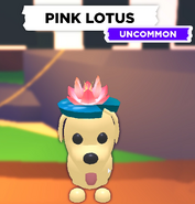 AMPinkLotus.png (147 KB) The Pink Lotus on a Dog.