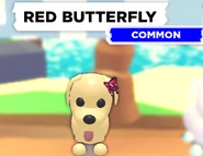 The Red Butterfly as seen on a Dog.
