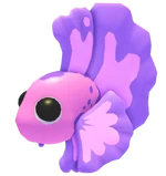 Pink Betta Fish