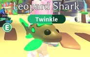 Leopard Shark | Adopt Me! Wiki | Fandom
