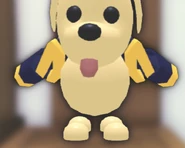 Captainโs Jacket on a Dog.png (275 KB) The Captain's Jacket on a Dog.