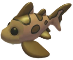 Leopard Shark