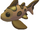 Leopard Shark