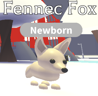 Fennec Fox Adopt Me Wiki Fandom - fox life roblox
