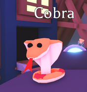 Cobra on display