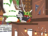 Husky
