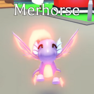 A Mega Neon Merhorse.