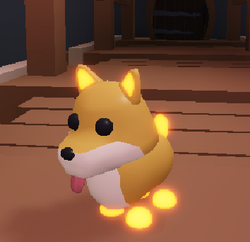 Shiba Inu Adopt Me Wiki Fandom - roblox adopt me doge