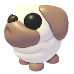 スノーボールパグ