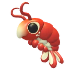 Emperor Shrimp