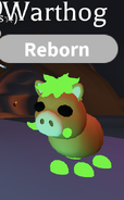 Warthog | Adopt Me! Wiki | Fandom