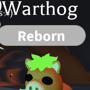 Warthog, Adopt Me! Wiki