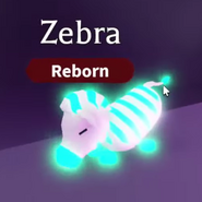 Neon Zebra (Rare)