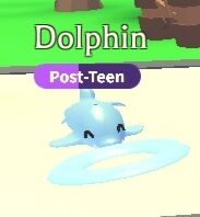 Dolphin holding Fun Flying Disc