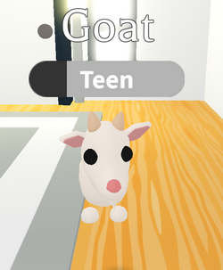 Goat, Adopt Me! Wiki