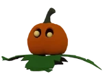 Pumpkin