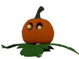 Pumpkin (Pet)