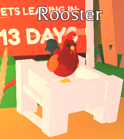 Rooster, Adopt Me! Wiki
